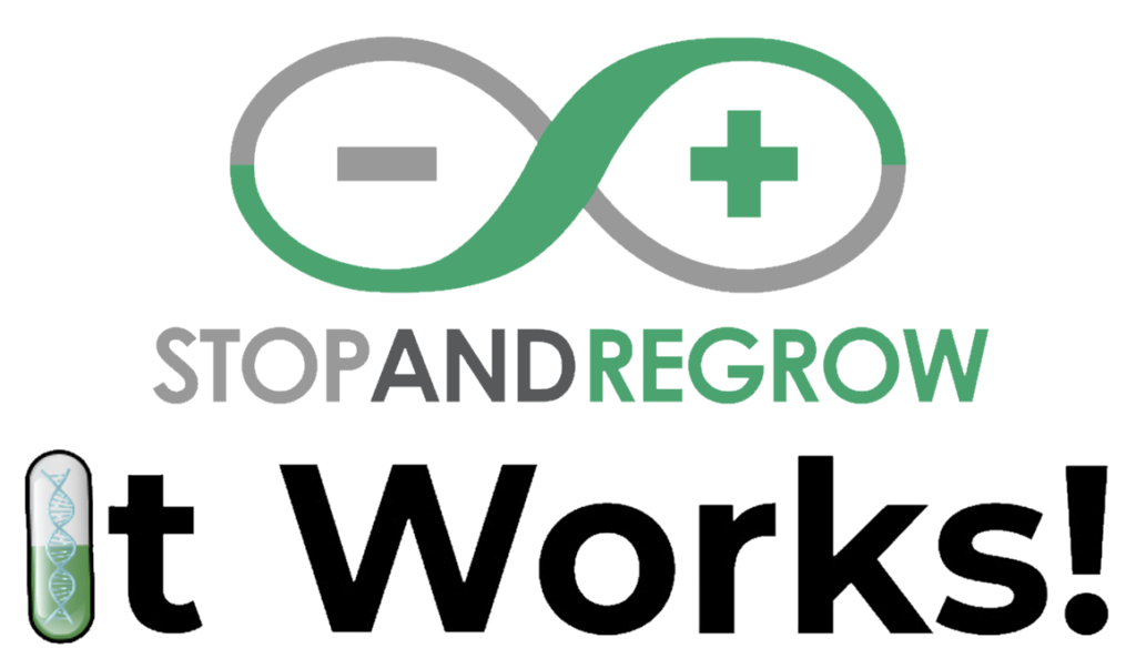 it works logo